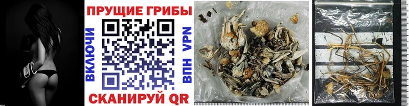 Галлюциногенные грибы GOLDEN TEACHER  купить наркоту  hydra tor  Чудово 